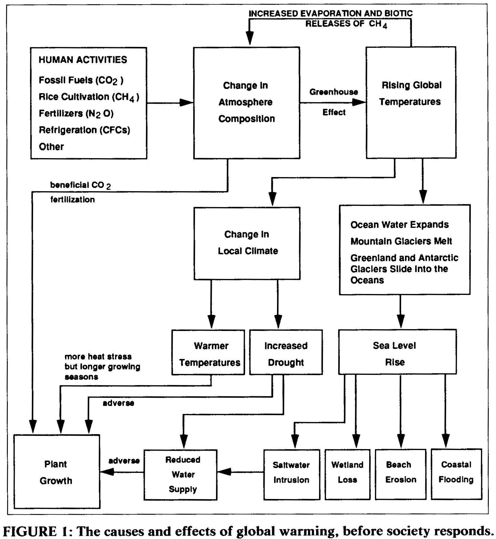 causes of global warming diagram