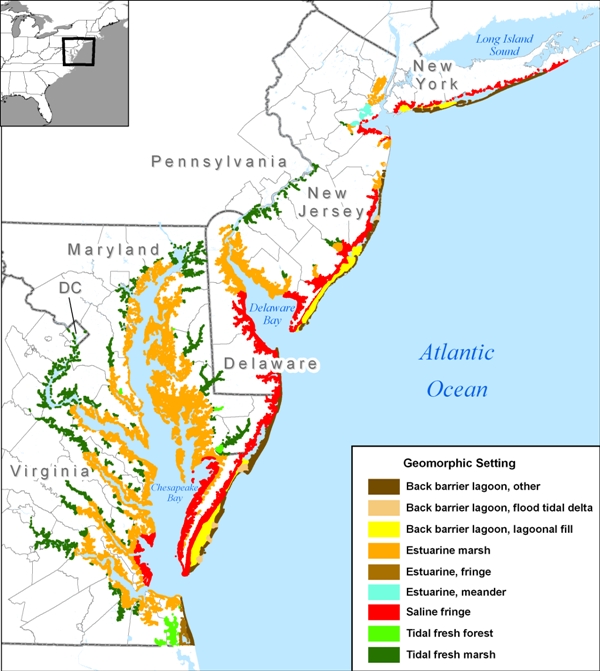 (a) FIgure 4-3 coastal wetland type.  (b) Figure 4-4:  Can wetlands keep pace with rising sea level?