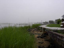 Figure 10.4 Wetland migration thwarted by development and shore protection  (Monmouth, New Jersey, August 2003) [Photo source:  James G. Titus, used with permission].