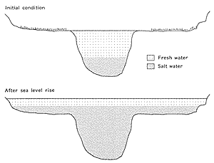 Figure 6. Increasing bay salinity due to sea level rise.